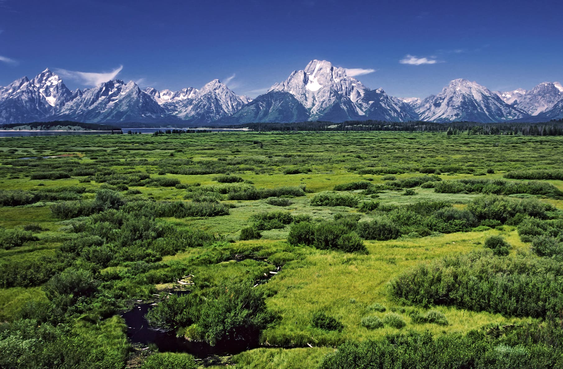 Jackson Lake Lodge outlook in the Grand Teton National Park , Wyoming , United States . View over the Willow Flats area to the Teton Range with the Mount Moran and his Skillet Glacier (12605 ft) in the middle.